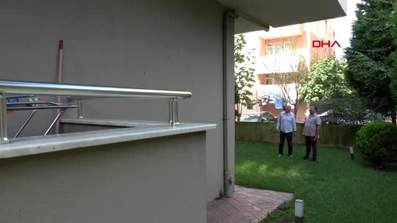 KOCAELİ Binaları tırtıllar bastı, site sakinleri isyan etti