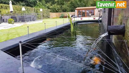 Des fêtes foraines à la restauration