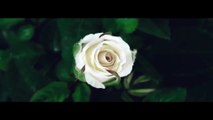 Ellie Goulding - Love Me Like You Do (Fifa보독카지노주소✘✘✘ 331GGO。ＣＯＭ ✘✘✘보독카지노주소ᵜᴗᵜty Shades Freed) (Official Video)_16