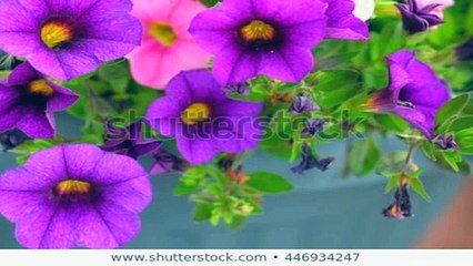 만안출장안마 -후불100%ョØ1ØM2997M5327｛카톡KC789｝-만안전지역출장안마 만안오피걸 만안출장마사지 만안출장안마 만안출장아로마 만안출장안마후기㍊だ⺛만안출장샵풀코스예약