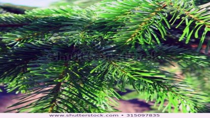 양주출장안마 -후불100%ョØ7ØM7575M0054｛카톡OYO78｝ 양주전지역출장안마 양주오피걸 양주출장마사지 양주안마 양주출장마사지 양주콜걸샵⾥∿≹