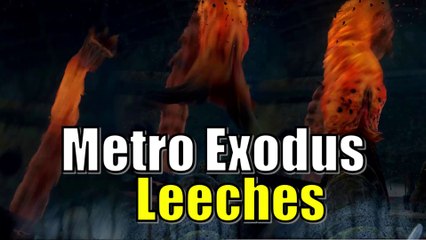 Metro Exodus Worm Explored | Novosibirsk Leech Morphology and Tunnel Explained | Lore Analysis
