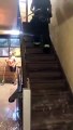 Inondation dans un immeuble, l'eau dévale les escaliers !