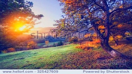 광평동출장안마 -후불100%ョØ1ØM2997M5327｛카톡MGM1472｝ 광평동전지역출장안마 광평동오피걸 광평동출장마사지 광평동안마 광평동출장마사지 광평동콜걸샵ぴ≸≔