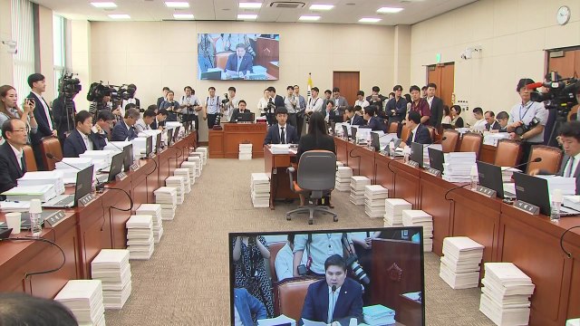 '조국 청문회' 축소판 된 국회 상임위...여야 공방 / YTN