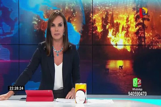 Incendios en la Amazonía: hectáreas arrasadas equivalen a la región Lima, señala experto