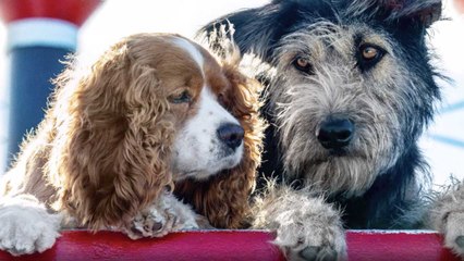 Disney Releases First Look at Live-Action ‘Lady and the Tramp’