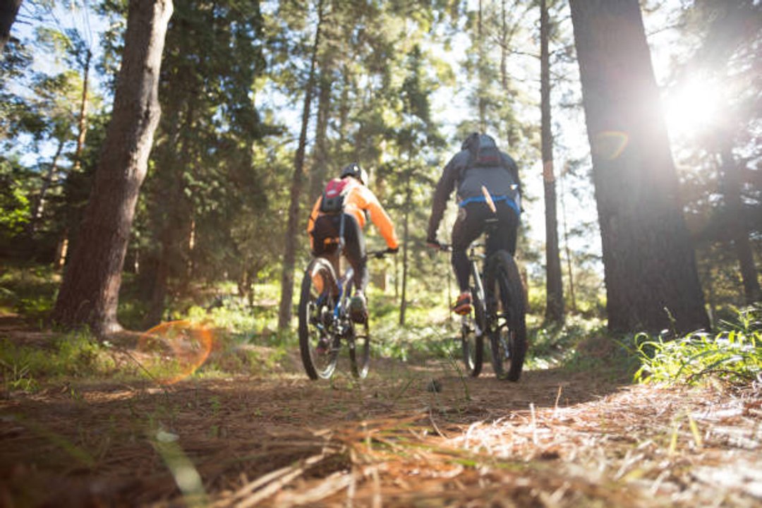 Vuelve a tener el control después del invierno con el VTT