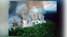 Famosos muestran su indignación por los incendios en Amazonas
