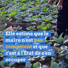 Un maire peut-il interdire le glyphosate dans sa commune ?