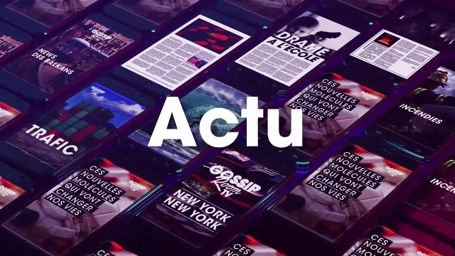 Un poney chute devant les spectateurs du Bartabas à Bordeaux, pris de convulsions il a du être euthanasié