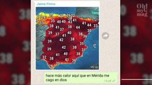 Envía un mensaje equivocado por el grupo familiar de WhatsApp y la respuesta de sus parientes es épica