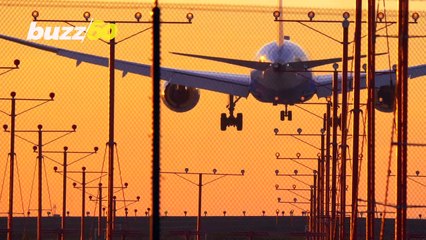 Google Flights Guaranteeing Cheapest Airline Prices