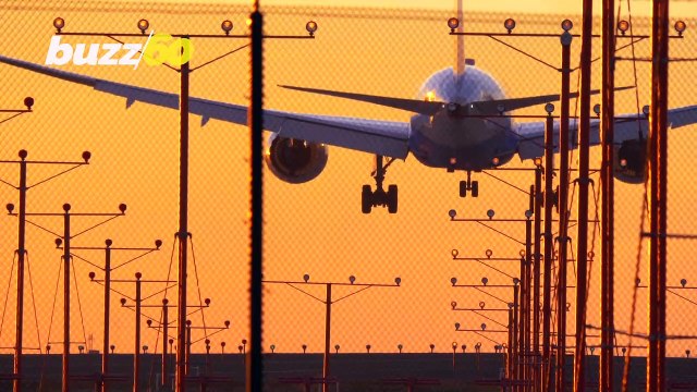 Google Flights Guaranteeing Cheapest Airline Prices