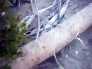 die bekehrte instrumental no melody