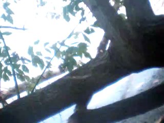 die bekehrte vocals only