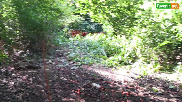 L'Avenir - A Jette, des moutons combattent l'irréductible Renouée du Japon