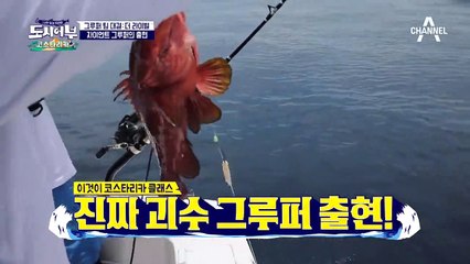 ★이것이 코스타리카 클라아-스★ 상렬의 괴수 그루퍼 출현에 배아픈 경규ㅎㅎ