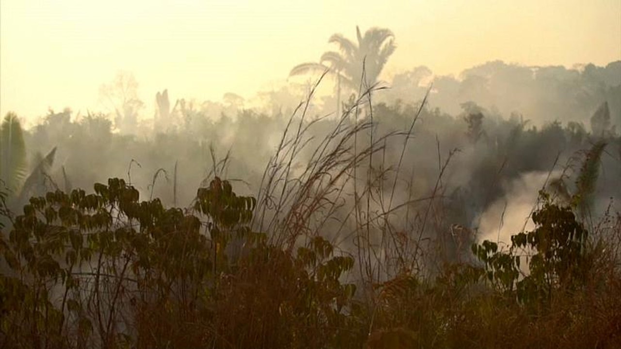 Kampf um die Amazonas-Wälder