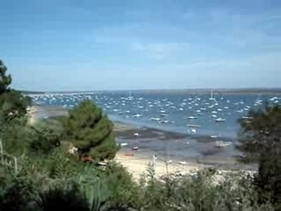 L'herbe septembre 2007