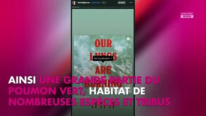 Incendie en Amazonie : Leonardo DiCaprio, Laeticia Hallyday, Tina Kunakey… les stars s’insurgent