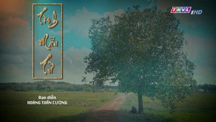Tình mẫu tử - Tập 30 FullHD 22-08-2019