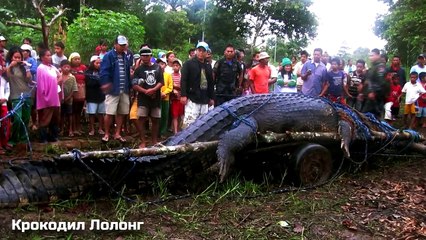 10 САМЫХ БОЛЬШИХ РЫБ И УЛОВОВ В МИРЕ