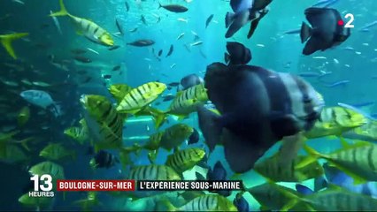 Boulogne-Sur-Mer : à la découverte du plus grand aquarium d'Europe