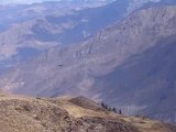 Condor canyon de Colca