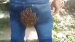 Il a un nid d'abeilles sur son pantalon.. avec lequel il est habillé !
