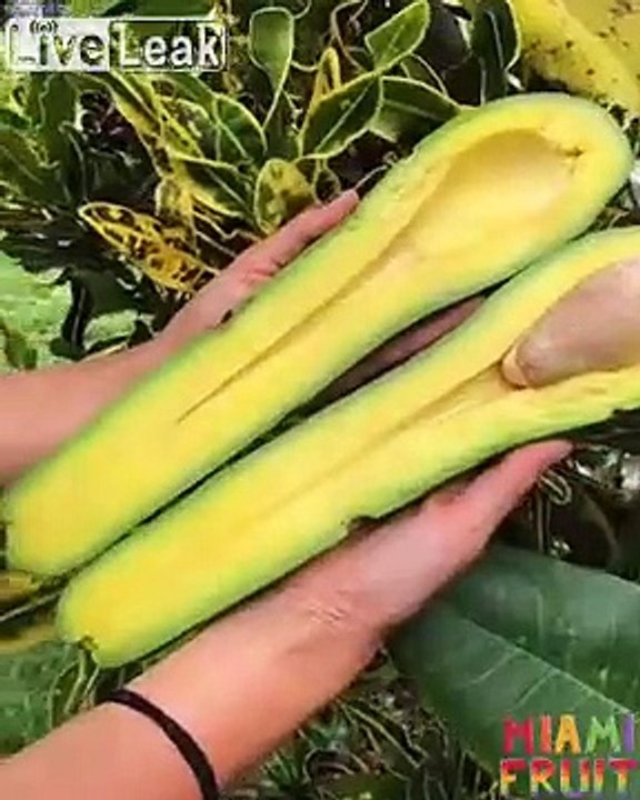 Regardez la taille incroyable de ces avocats !