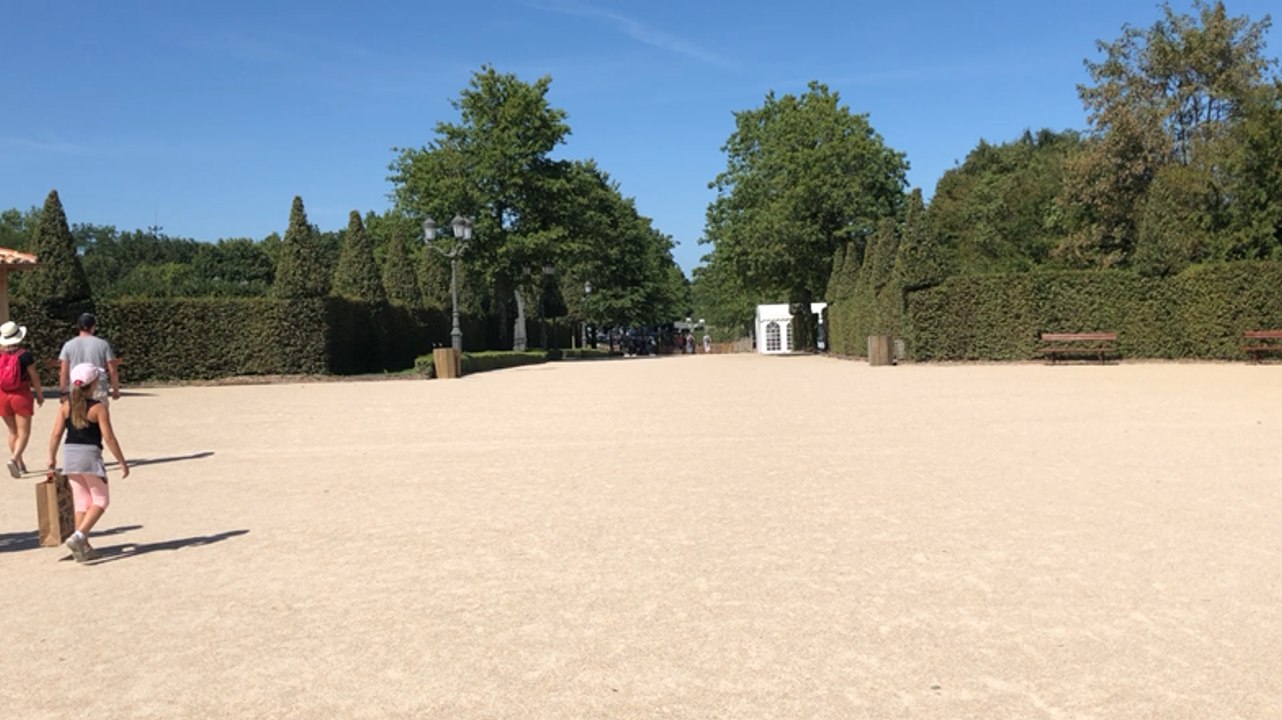 Gabriel, 15 ans, a fait 1000 km à vélo pour décrocher un stage au Puy du Fou
