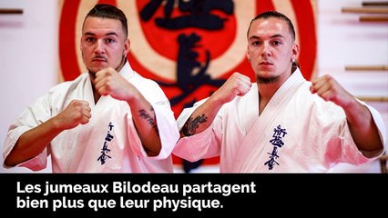 Courrier 8 - Faits saillants