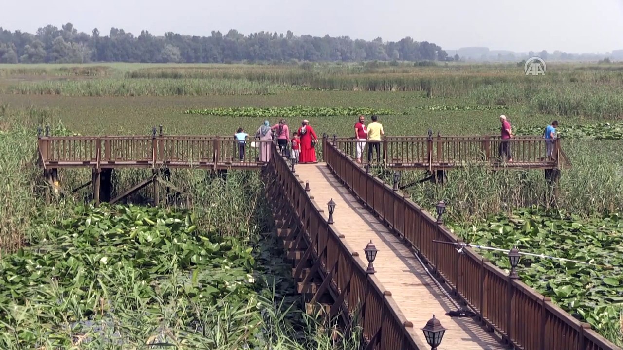 Efteni Kuş Cenneti doğaseverleri büyülüyor - DÜZCE
