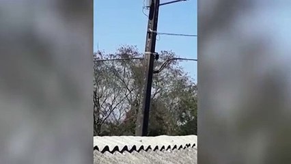 Helicóptero sobrevoando região de Catanduvas chama a atenção; PRF explica motivo