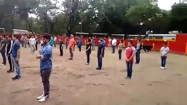 Les taureaux n attaquent que lorsqu'ils sont menacés