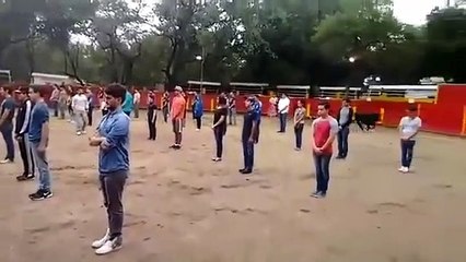 Les taureaux n attaquent que lorsqu'ils sont menacés