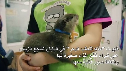 وسائل التواصل الاجتماعي تفاقم الخطر على الحيوانات المهددة بالانقراض