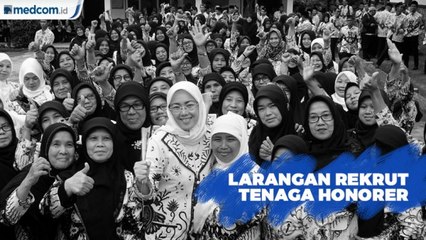 MenpanRB Larang Pemda Rekrut Tenaga Honorer