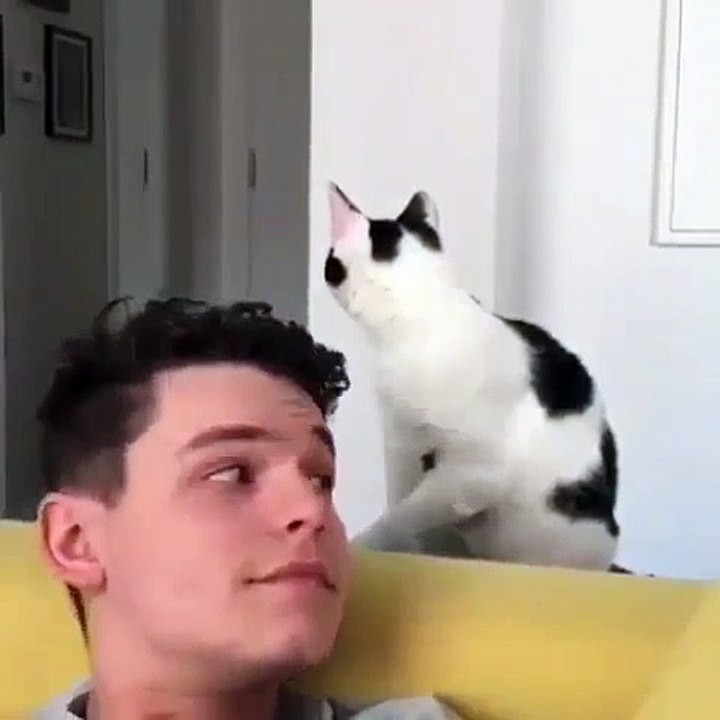 Trop mimi ! Cet homme et son chat sont très complice.