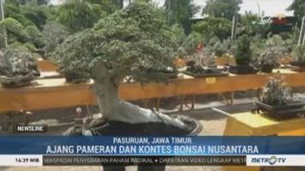 Pameran dan Kontes Bonsai Nusantara di Pasuruan