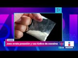 Juez avala posesión y uso lúdico de cocaína para dos personas | Noticias con Yuriria Sierra