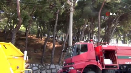 Ayvalık'ta çıkan orman yangınında vatandaşlar etten duvar ördü