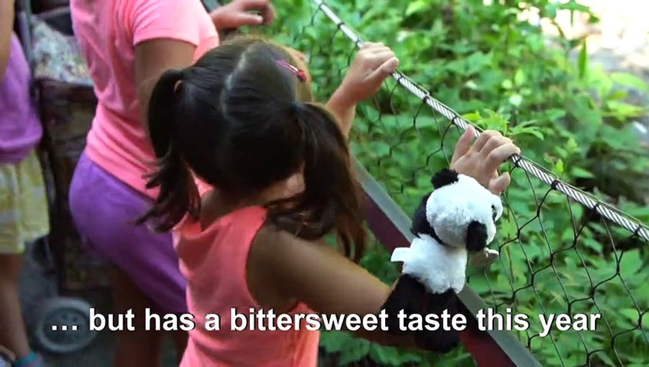 US: Giant panda Bei Bei celebrates his 4th birthday at DC's National Zoo
