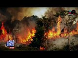 Pray for Amazonia: crónica de los incendios forestales en Brasil | De Pisa y Corre