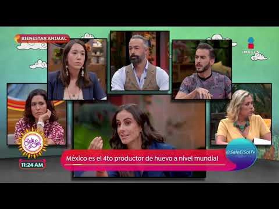 Sobre la mesa: ¿Los animales de granja merecen mejores condiciones de vida? | Sale el Sol