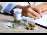 Usos y aplicaciones de la cannabis medicinal
