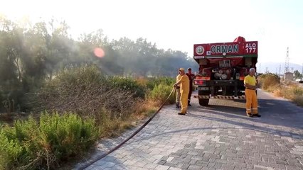Makilik alandaki yangında mahsur kalan bukalemunu itfaiye kurtardı