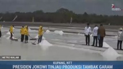 Jokowi Tinjau Panen Garam Perdana di Kupang