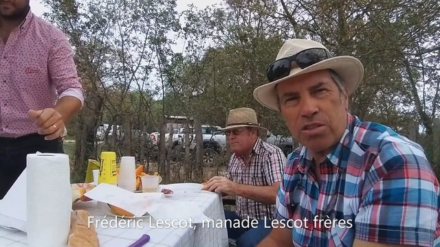 Saint-Laurent d'Aigouze : rencontre avec la manade Lescot pour les 30 ans de fête